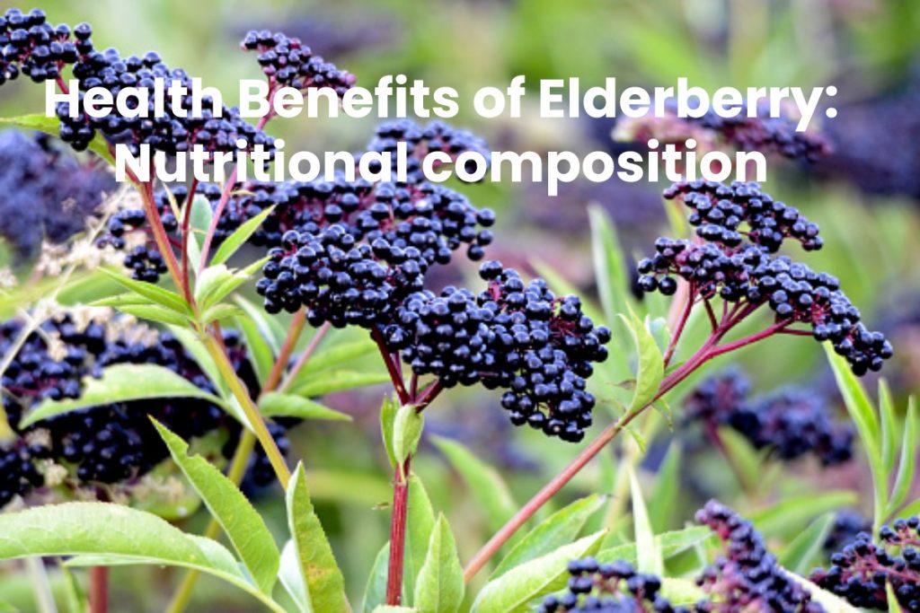 Health Benefits of Elderberry: Nutritional composition