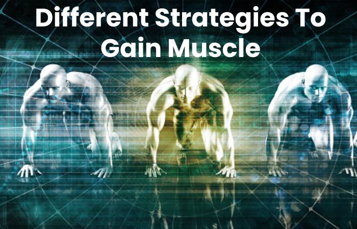 Different Strategies To Gain Muscle