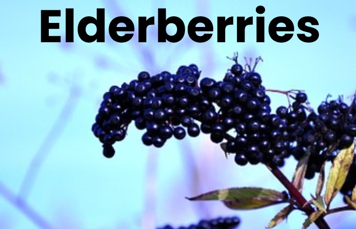 Elderberries