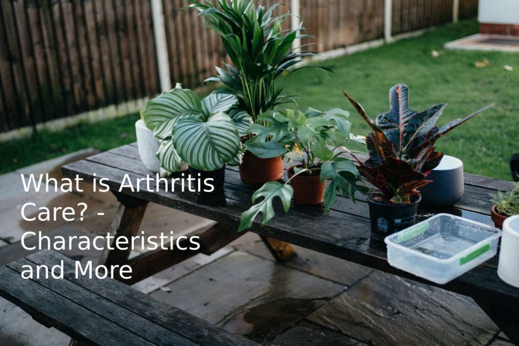 What is Arthritis Care? - Characteristics and More