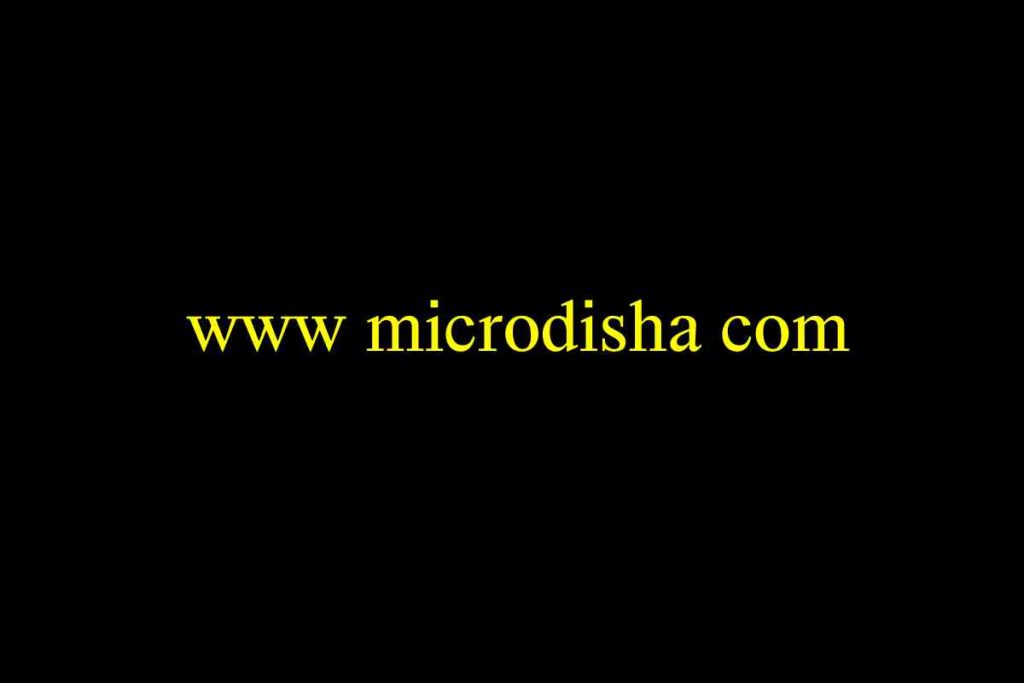 www microdisha com