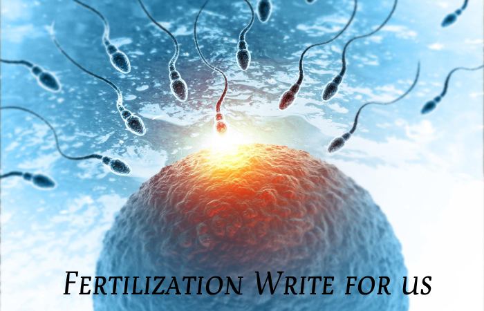 Fertilization Write for us